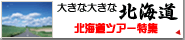 �̳�ƻι��