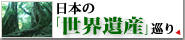 �����仺ι��