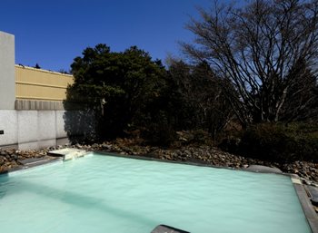 箱根湯の花温泉ホテル イメージ