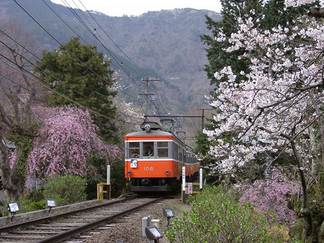 春の登山電車1