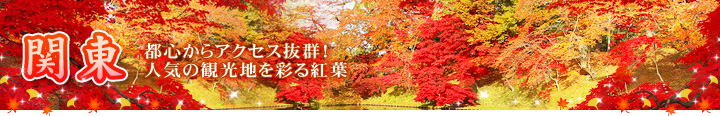 関東／都心からアクセス抜群！人気の観光地を彩る紅葉