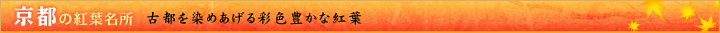 京都の紅葉名所／古都を染めあげる彩色豊かな紅葉